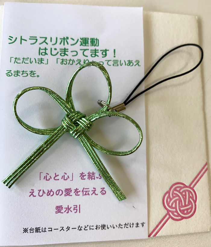 シトラスリボン運動の水引"