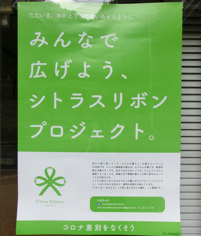 シトラスリボン運動の水引"
